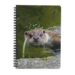 Carnet de note Loutre